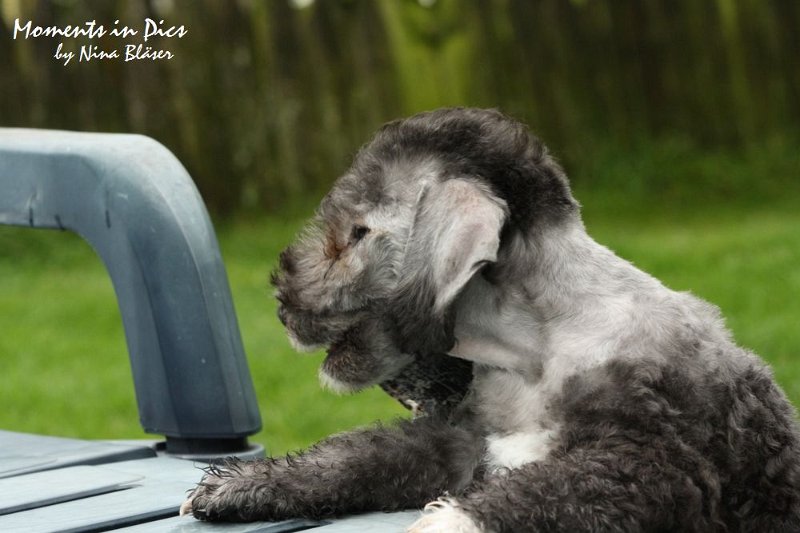 Antares 2009-07-12 (32).JPG